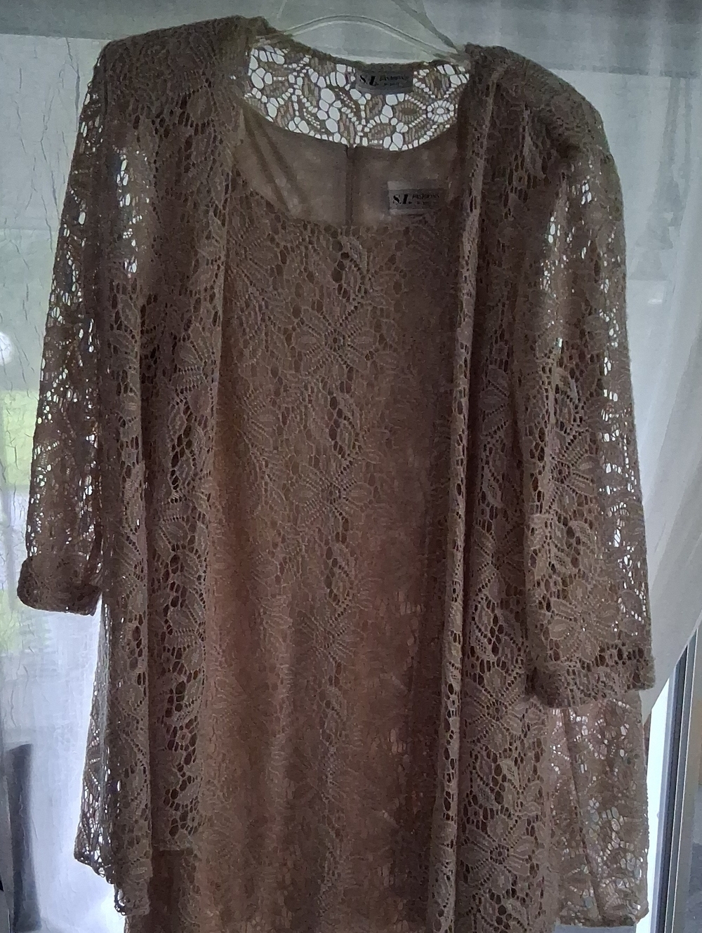 SL Fashions Beige Lace Overlay Dress